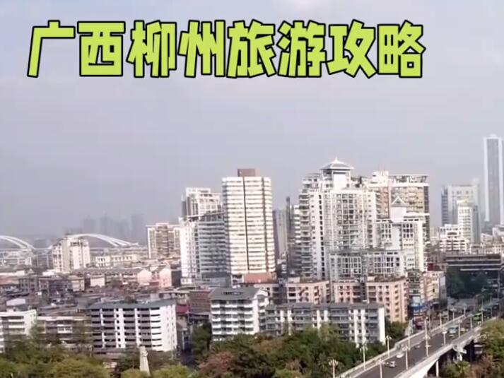 见证旅游市场活力与魅力 “导游也是一道美丽的风