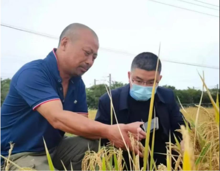 1769417670169545.jpg 1.jpg